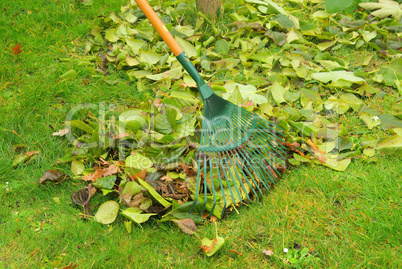 Laub harken - leaves rake 10