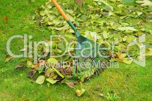 Laub harken - leaves rake 10