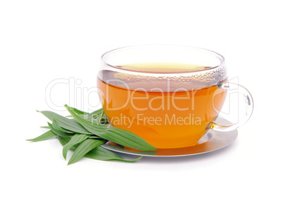 Tee Spitzwegerich - tea ribwort plantain 03