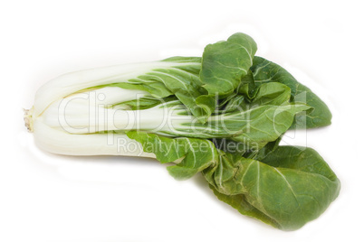 Pok Choi - Senfkohl