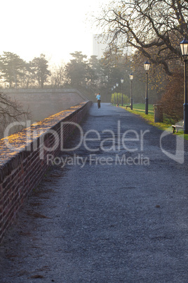 woman running in the park in the morning