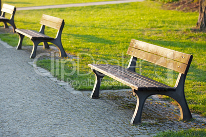 wooden bench in the park