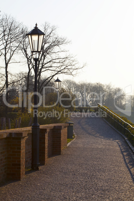 park avenue with paths and trees