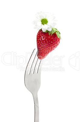 strawberry and flower on a fork isolated on white