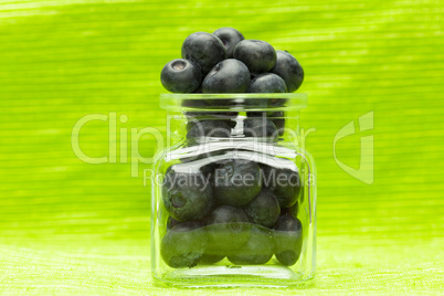 blueberries in the bank on a green background