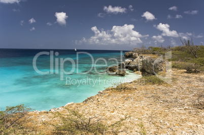 Shore of Bonaire