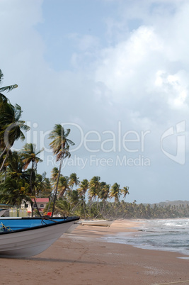 Beach in Trinidad