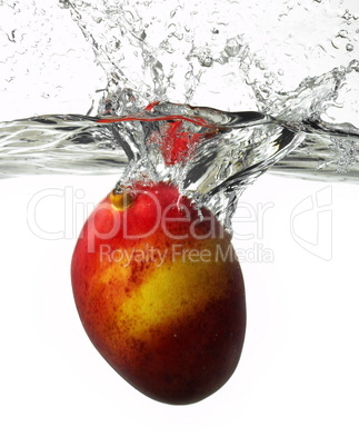 Mango Splash