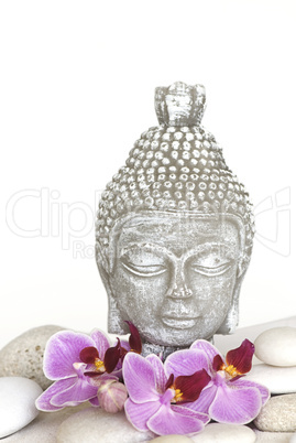 Buddha und Orchidee