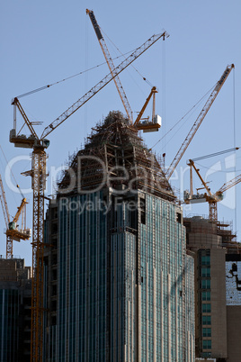 Abu Dhabi Skyline