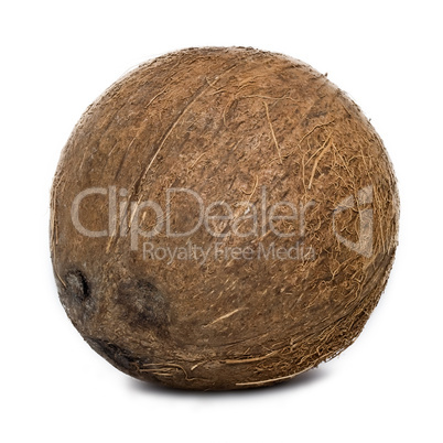 Coconut