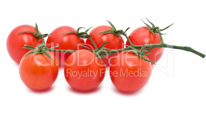 Tomatoes