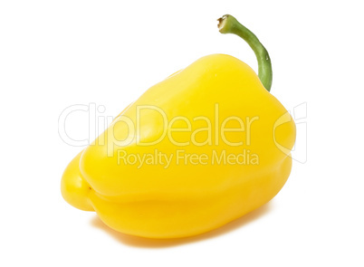 Bell pepper