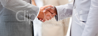 Close-up of a business agreement by shaking hand