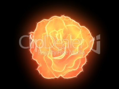 Glowing flower