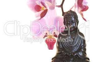 Buddha und Orchidee
