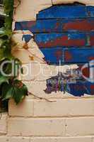 white brick with blue and ivy