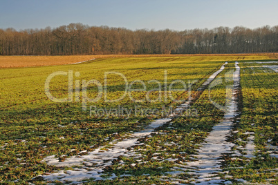 schneebedeckte Traktorspur im Feld