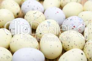 Chocolate Easter eggs. Quail