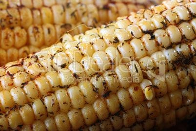 Paked corn