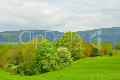 Natur Landschaft