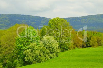 Frühlingserwachen