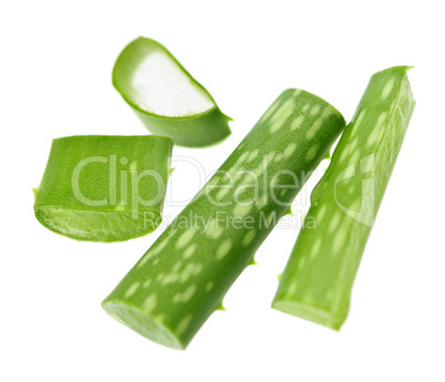 Aloe vera plant pieces