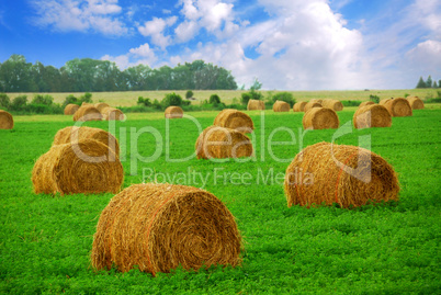 Hay bales