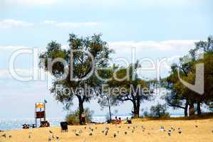 Beach scene