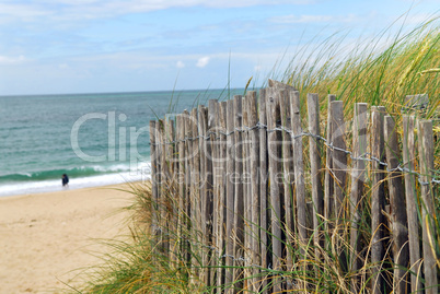 Beach fence
