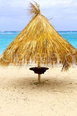 Tropical beach umbrella