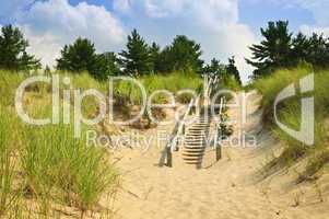 Wooden stairs over dunes at beach