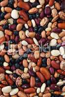 Dry beans