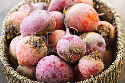 Red and golden beets