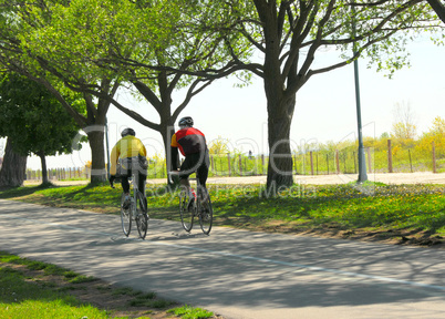 Bicycling in a park