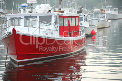 Fishing boats in harbor