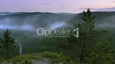 timelapse fog rising up above night forest, view from rock