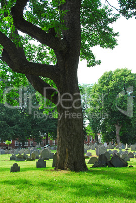 Old cemetery