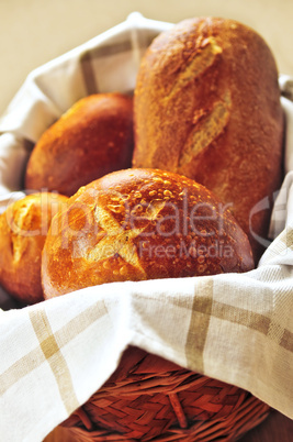 Bread in basket