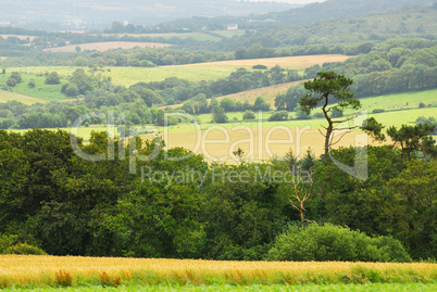 Agricultural landscape