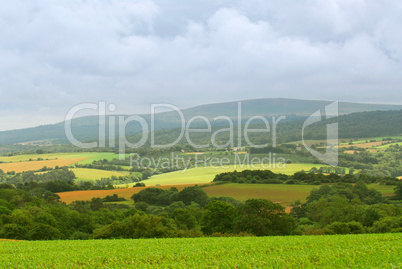 Agricultural landscape