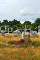 Megalithic monuments in Brittany