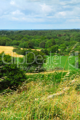 Rural landscape