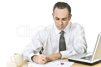 Office worker studying reports