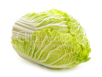 Isolated chinese cabbage
