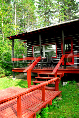 Log cabin woods
