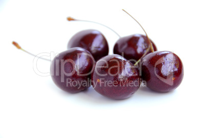 Fresh cherries
