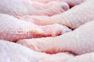 Raw chicken drumsticks