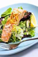 Salad with grilled salmon