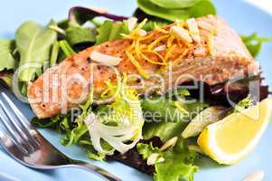 Salad with grilled salmon
